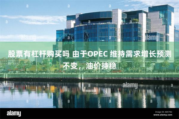 股票有杠杆购买吗 由于OPEC 维持需求增长预测不变，油价持稳