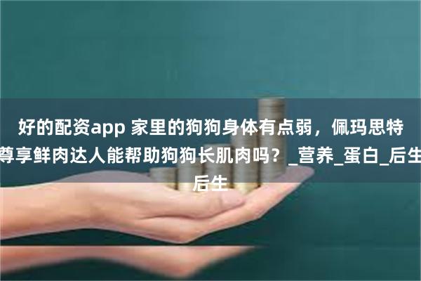 好的配资app 家里的狗狗身体有点弱，佩玛思特尊享鲜肉达人能帮助狗狗长肌肉吗？_营养_蛋白_后生