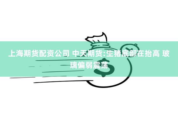上海期货配资公司 中天期货:生猪底部在抬高 玻璃偏弱震荡
