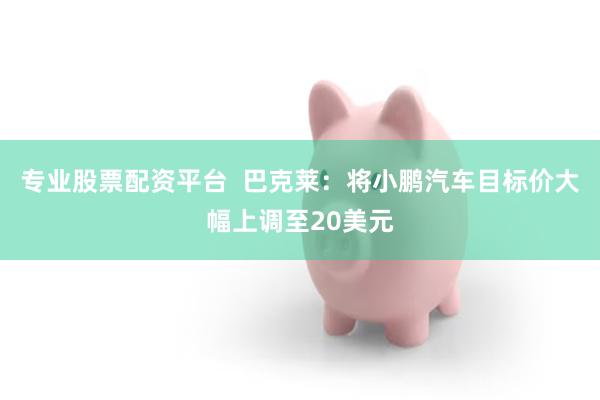 专业股票配资平台  巴克莱：将小鹏汽车目标价大幅上调至20美元