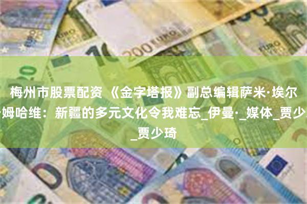 梅州市股票配资 《金字塔报》副总编辑萨米·埃尔卡姆哈维：新疆的多元文化令我难忘_伊曼·_媒体_贾少琦