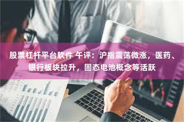 股票杠杆平台软件 午评：沪指震荡微涨，医药、银行板块拉升，固态电池概念等活跃