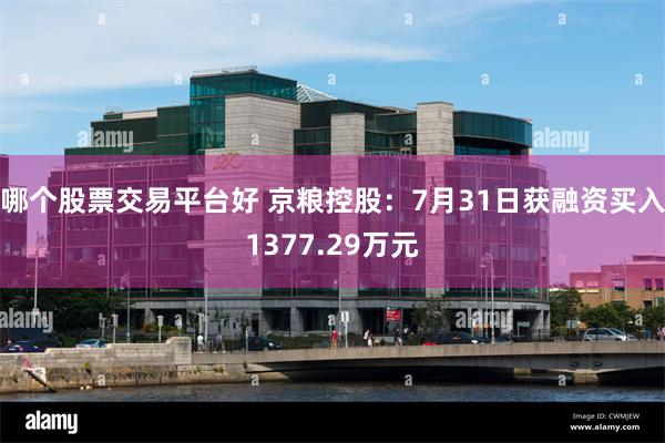 哪个股票交易平台好 京粮控股：7月31日获融资买入1377.29万元