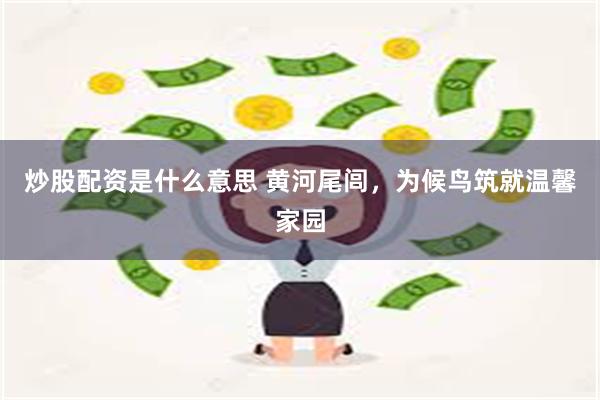 炒股配资是什么意思 黄河尾闾，为候鸟筑就温馨家园