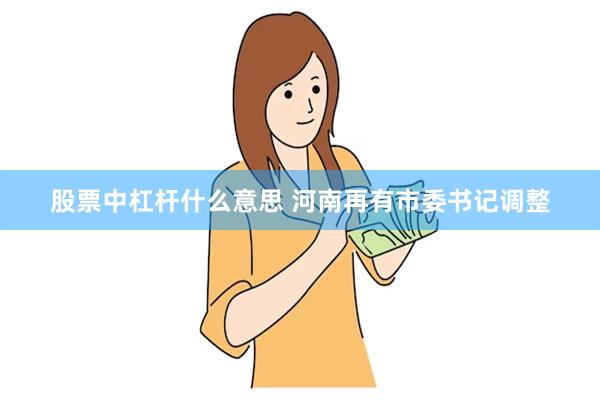 股票中杠杆什么意思 河南再有市委书记调整