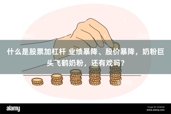 什么是股票加杠杆 业绩暴降、股价暴降，奶粉巨头飞鹤奶粉，还有戏吗？