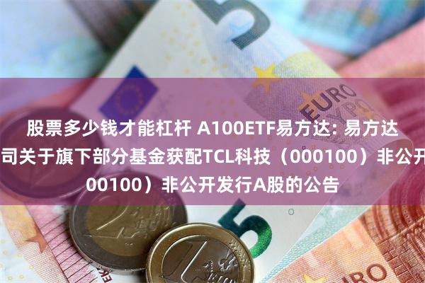 股票多少钱才能杠杆 A100ETF易方达: 易方达基金管理有限公司关于旗下部分基金获配TCL科技（000100）非公开发行A股的公告
