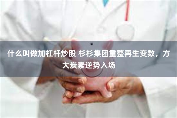什么叫做加杠杆炒股 杉杉集团重整再生变数,方大炭素逆势入场